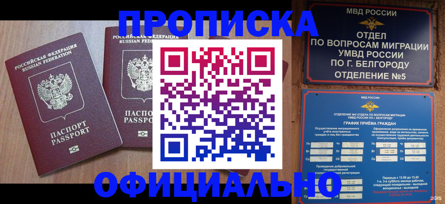 найти адрес прописки в Покрове
